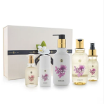 Sweet Camellia Bundle With box